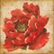 Red Peony on Gold Poster Print by Patricia Pinto - Item # VARPDX8780A